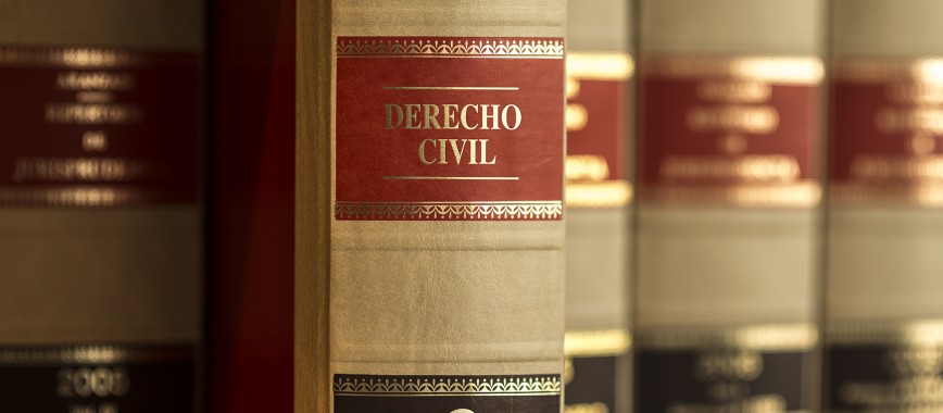 libro de derecho civil